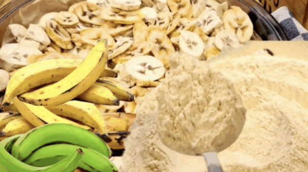 Bananes plantains 100 % bio